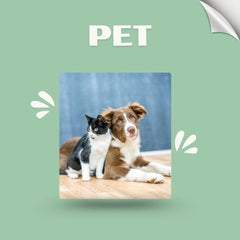 Pet