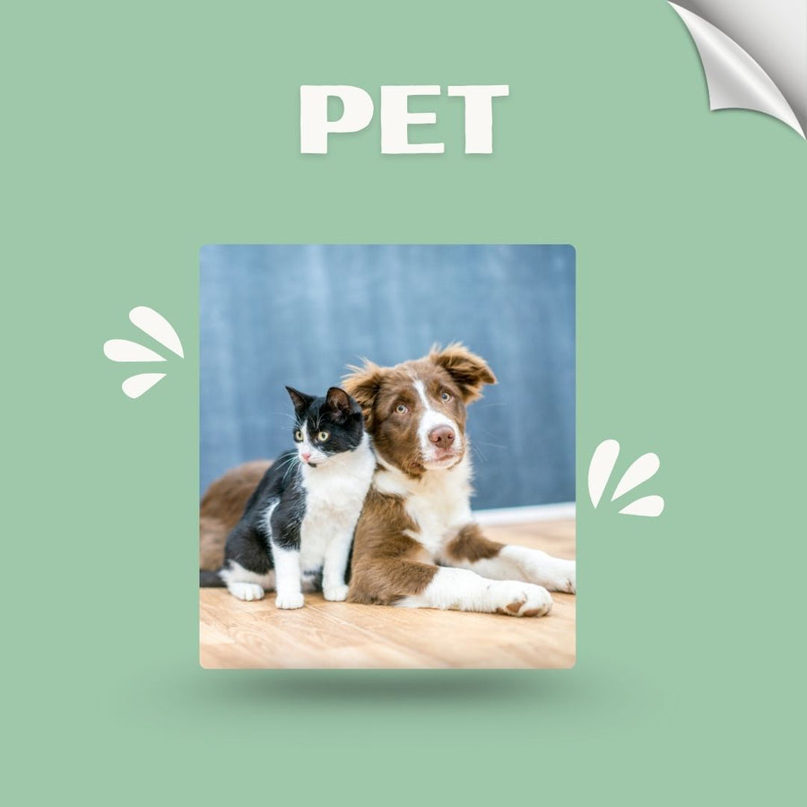 Pet