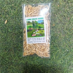 Herbicide Granules Grass Beautiful Home Gardening Pack of 2