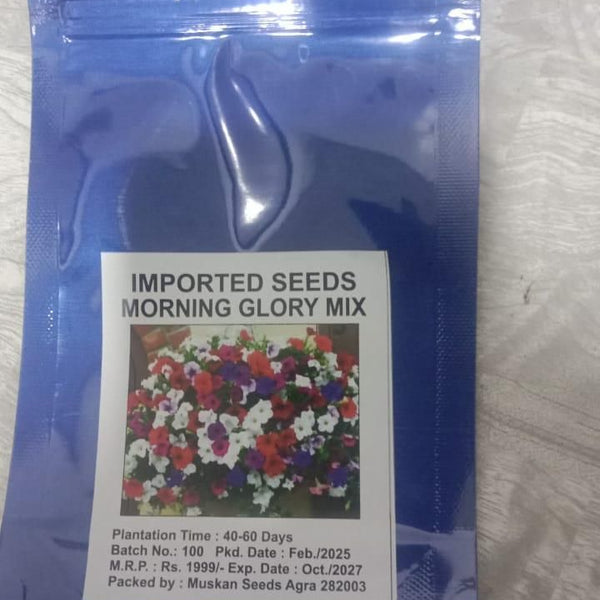 Mix Colour Morning Glory Mix Flower Seeds For Home Garden